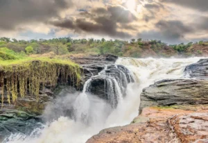 murchison falls safaris