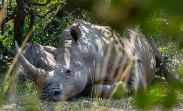 Ziwa-Rhino-Sanctuary