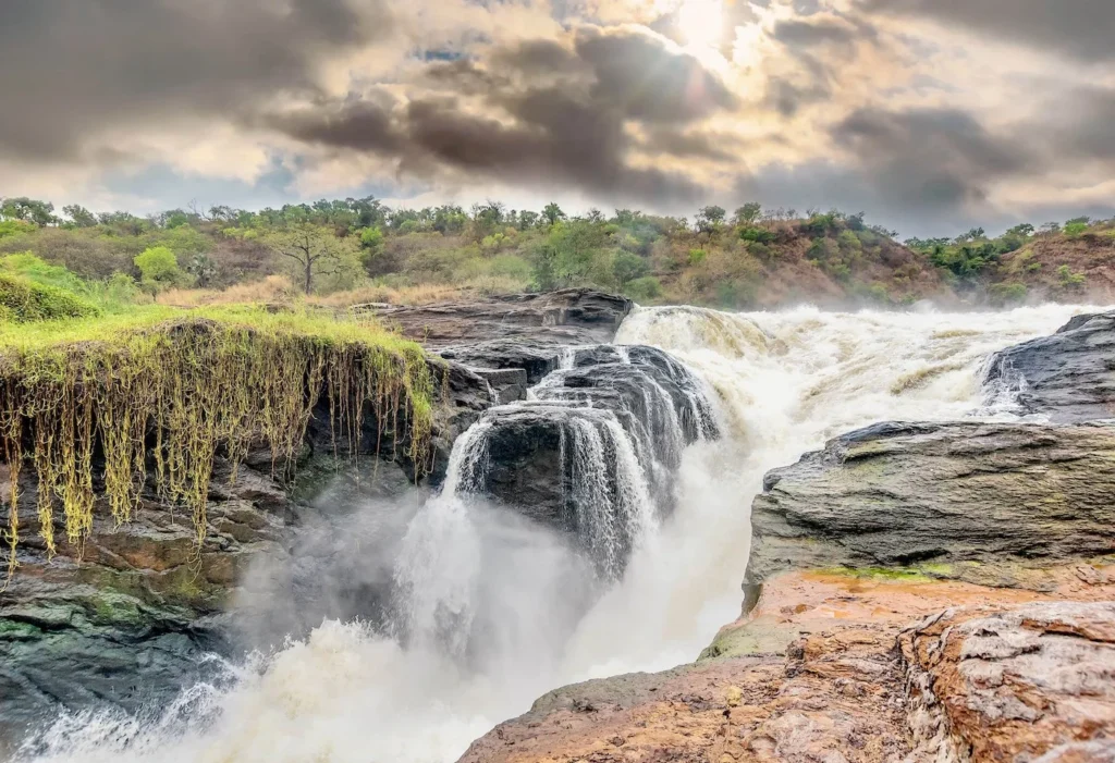 murchison falls safaris