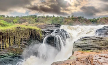 murchison falls safaris