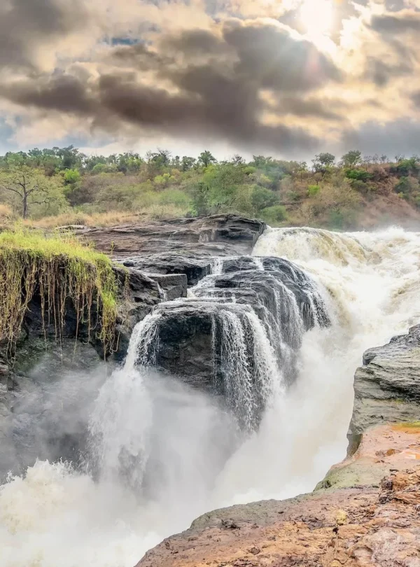 murchison falls safaris