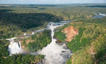 murchison falls Safaris
