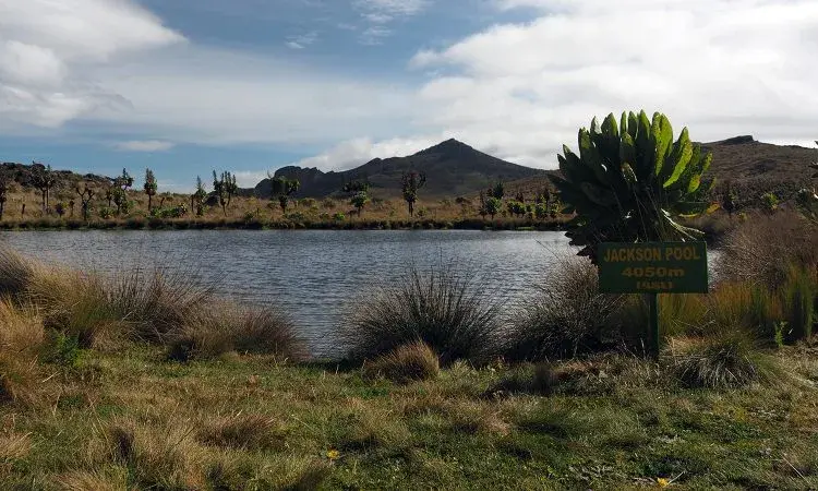 Mount. Elgon National Park 750x450 1 1