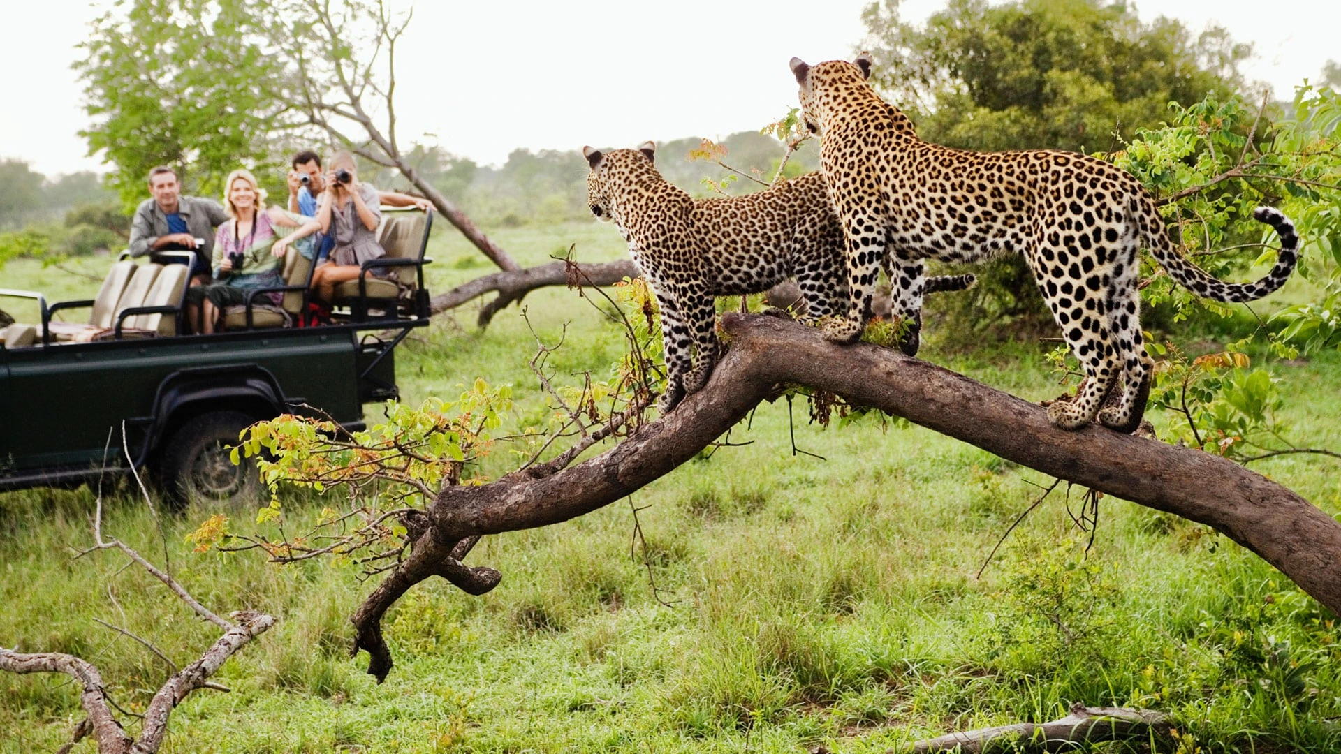 uganda budget Tour Destinations
