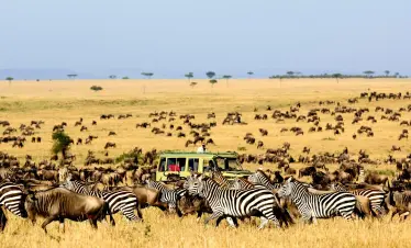 kidepo valley uganda safari