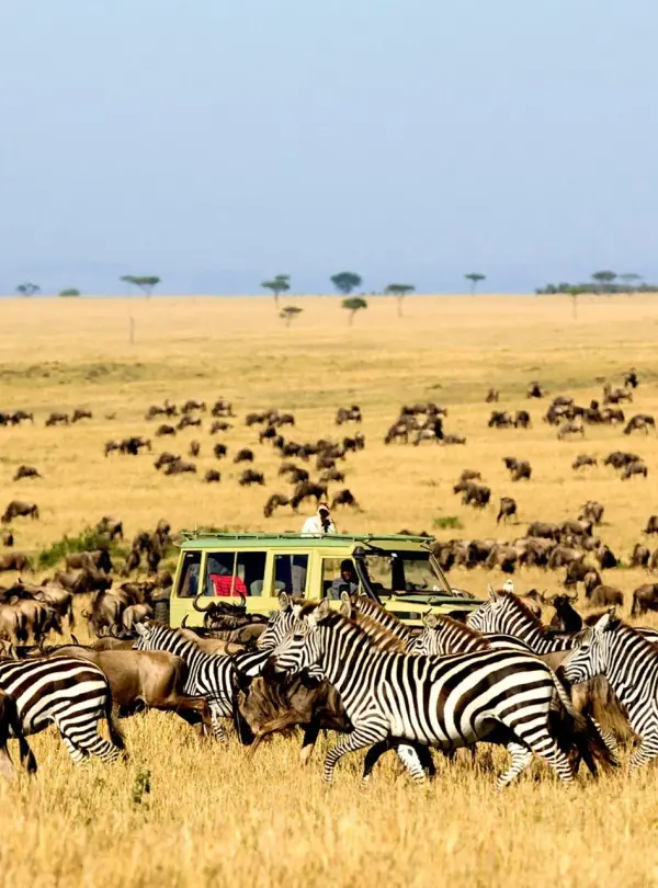 kidepo valley uganda safari