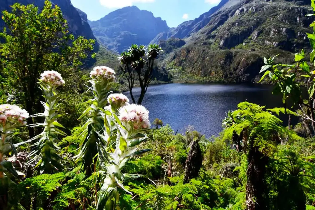 Rwenzori Mountains National Park