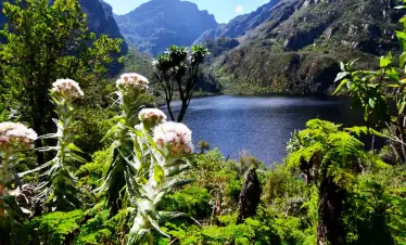 rwenzori mountains-national park